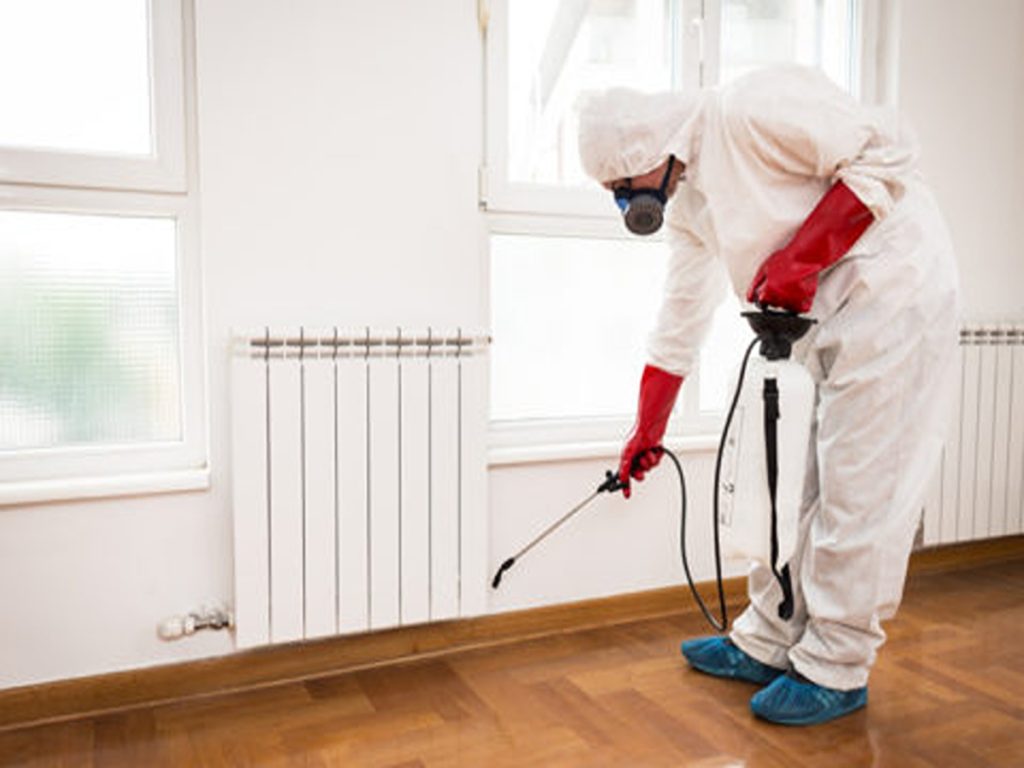 Pest Control Services in Abbotsford
